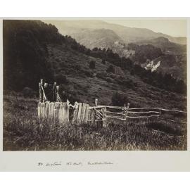 Dr Hector's Old Hut, Matukituki