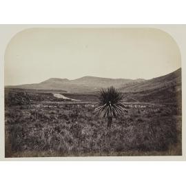 Mount Charles, Otepopo