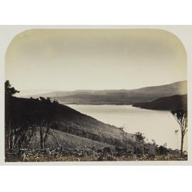 Dunedin from Portobello