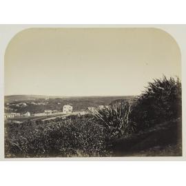 Single View of Dunedin (no. 5)