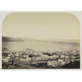 Single View of Dunedin (no. 3)