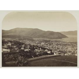 Single View of Dunedin (no.1)