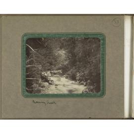 Roaring Creek