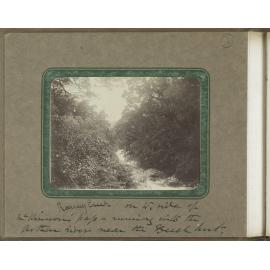 Roaring Creek