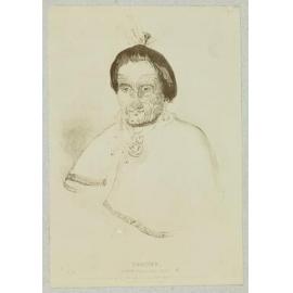 Feedee A New Zealand Chief