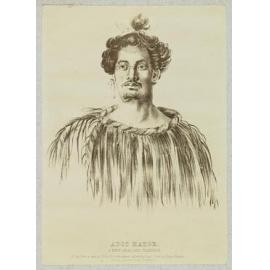 Adic Hator New Zealand Warrior