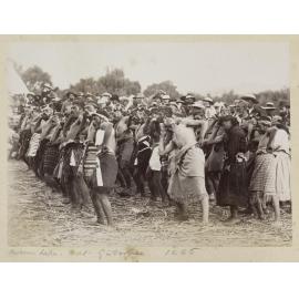 Modern haka at Gisborne 1886