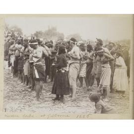 Modern haka at Gisborne 1886