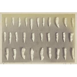 Harpoon heads