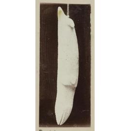 Lizard pendant from Castlepoint