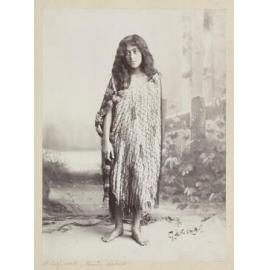 A half-caste, Thames district