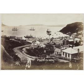 Port Chalmers from Mount St