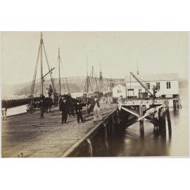 Jetty Sheds