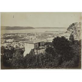 View from bush just above the top of upper Albany St