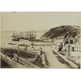 Port Chalmers looking down Mount St