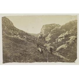 Trotters Gorge, Horse Range