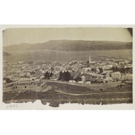 Dunedin from above Arthur Street