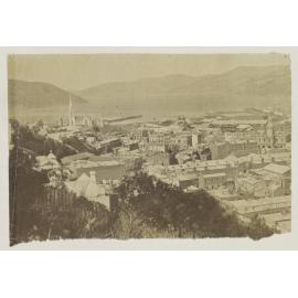 Dunedin from City Rise
