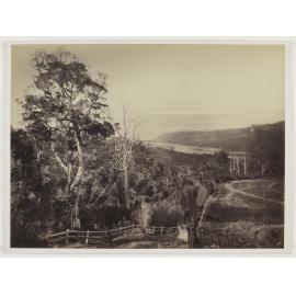 View over the Manukau Harbour with Little Muddy Creek