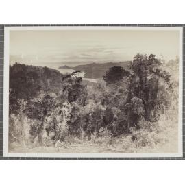 View over the Manukau Harbour with Little Muddy Creek