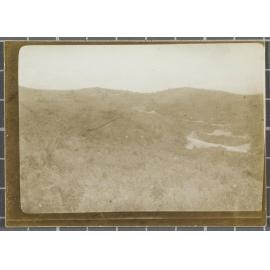 Wooded landscape