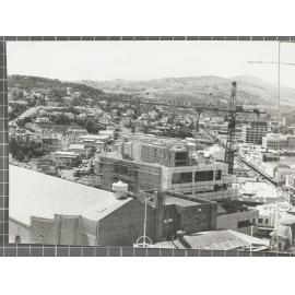 Panorama of Dunedin, after the Burton Brothers, part eight