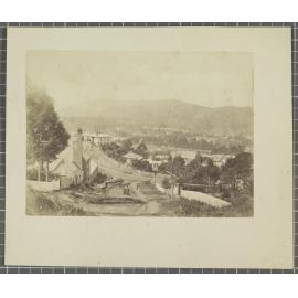 Dunedin North from Elder Street
