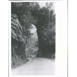 Fern Arch