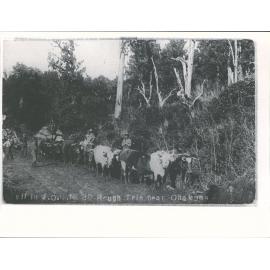 Ohakune - rough trip