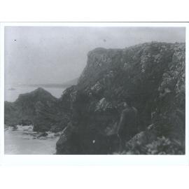 'Part of the False Island' Owaka