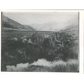 Foot of Porter's Pass?