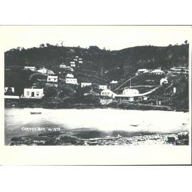 Careys Bay, 1873