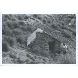 Carricktown Goldmining