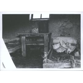 Carricktown Goldmining