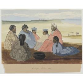 Port Cooper Natives