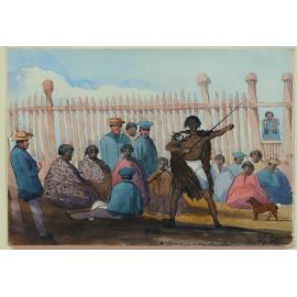 Mr Bounce in a dog skin cloak. Massacre Bay