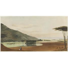 The Riwaka Valley. Nelson