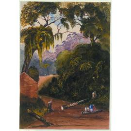 On the Nghauranga Road, Wellington