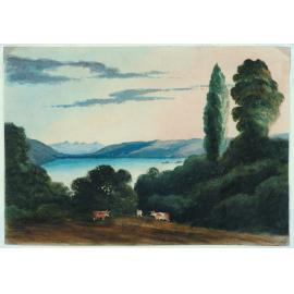 Port Nicholson from the Karori Road about two miles from Wellington, New Zealand