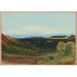 The Riwaka Valley. Nelson