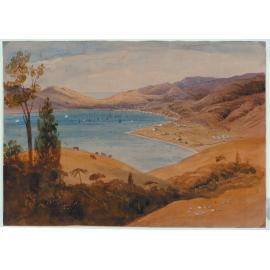 Wellington from Kaiwarra Hill