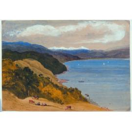 Port Nicholson from the Town Belt Wellington