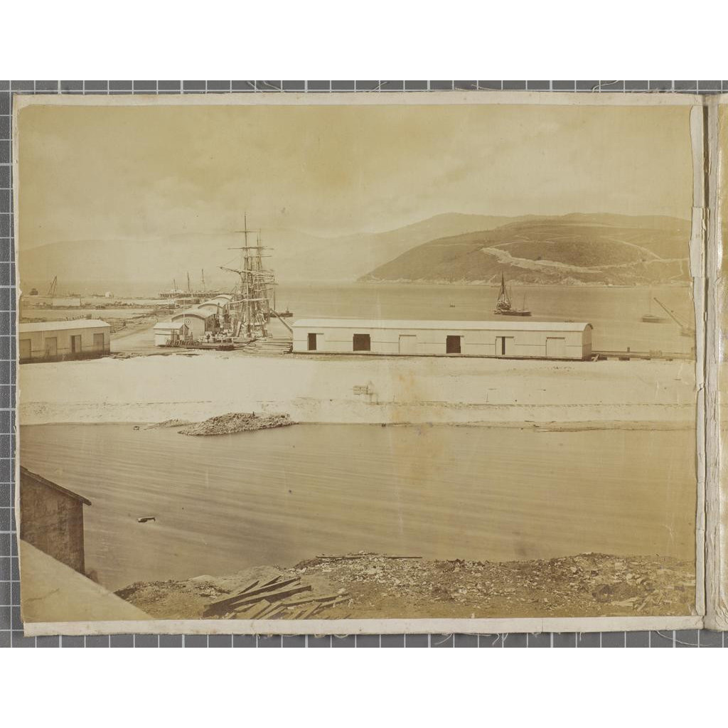 Dunedin Waterfront Panorama 1881