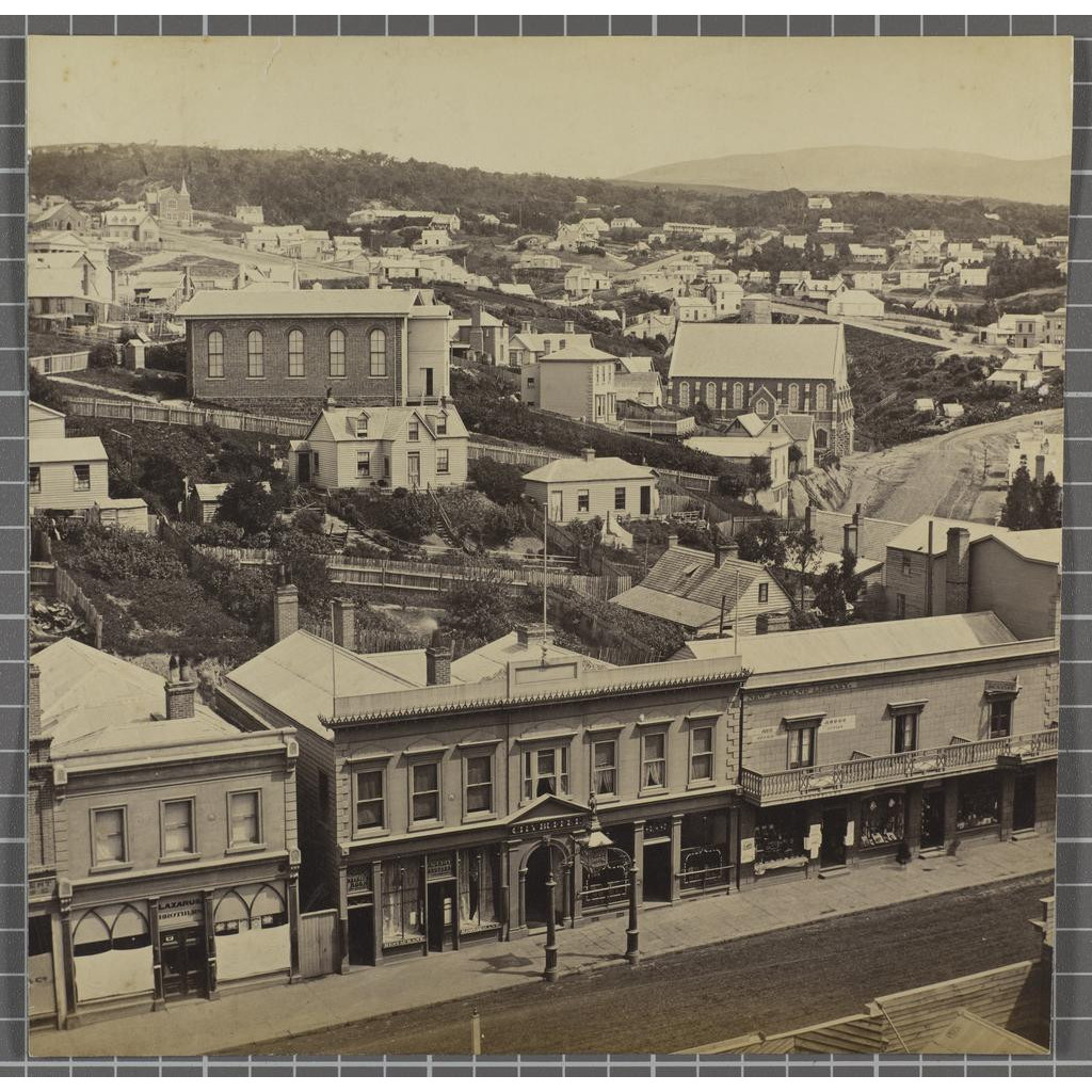 Panorama from Bedford House, 1865