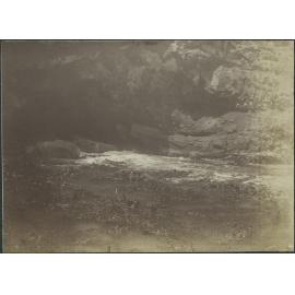 Kelp at Miller Point, Tomahawk