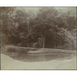 Pond at fish hatchery