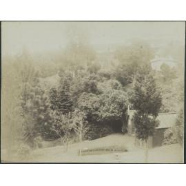 Fish hatchery, Opoho