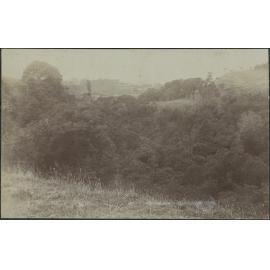 Fraser's Bush and Roslyn