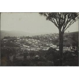 Pine Hill and Botanical Gardens