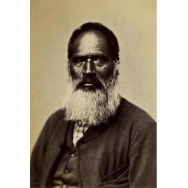 Wickliffe, Poverty Bay Chief